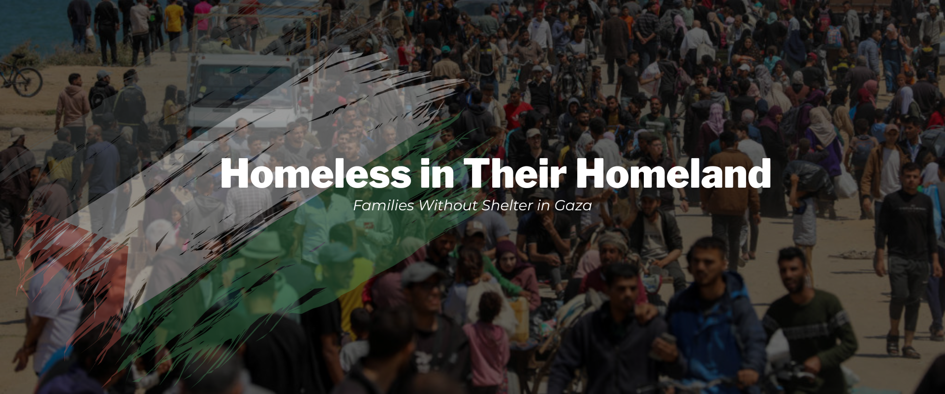 Homeless in Their Homeland: Families Without Shelter in Gaza